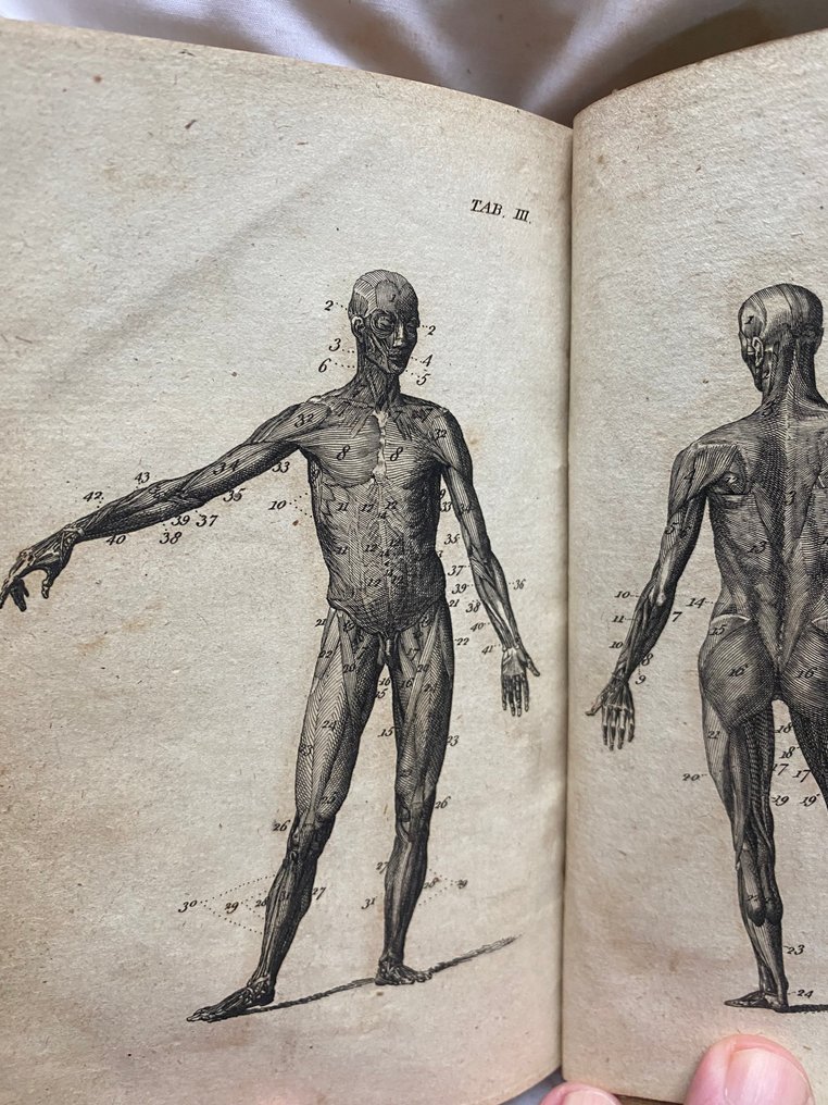 [James Handley] - Anatomical dialogues, or, A breviary of anatomy : wherein all parts of the human body are concisely - 1778 #2.1
