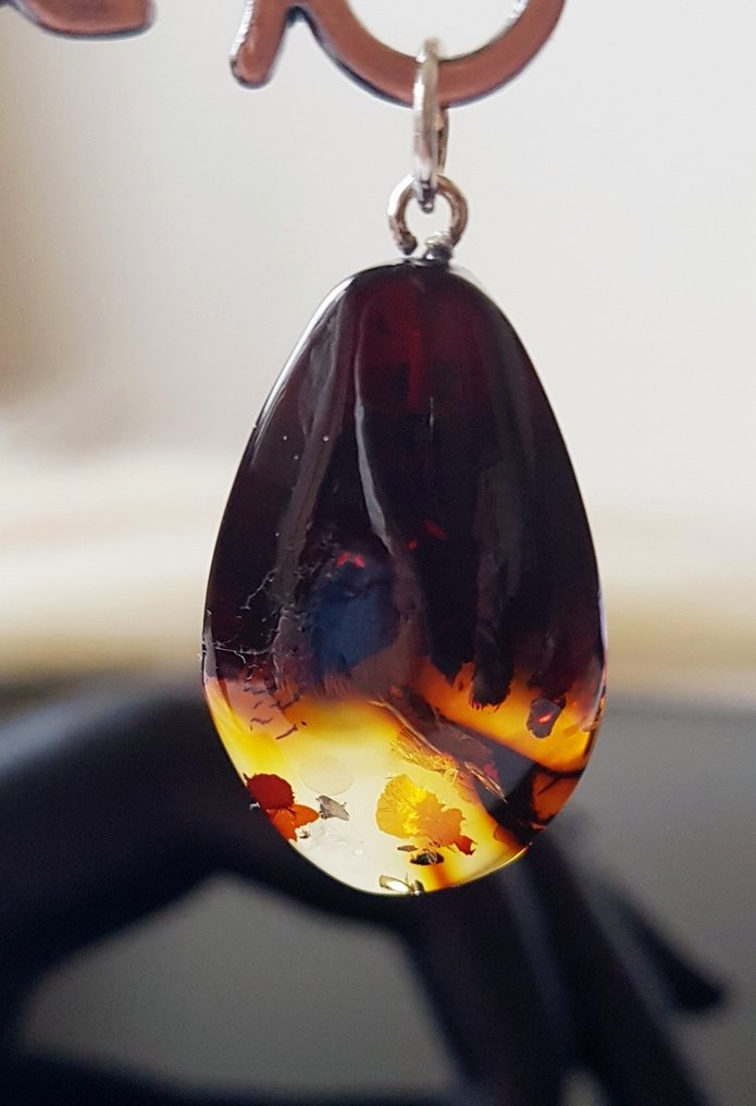 Baltic Amber  - Pendant #2.1