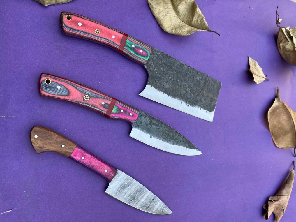 厨刀 -  手工风格的日本料理套装 - 钢铁与皮革 - 北美 #4.3