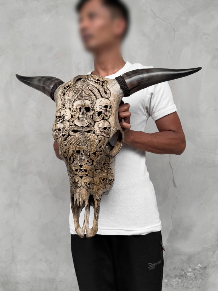 无底价 - 精美的大型棕色手工雕刻公牛头骨 - 人类头骨与章鱼图案 雕刻頭骨 - Bos Taurus - 54 cm - 67 cm - 18 cm- 非《瀕臨絕種野生動植物國際貿易公約》物種 -  (1) #4.3