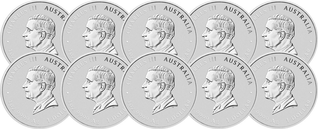 10 once troy - Argento .999 - Lunar III Cheval 2026 - 311 gram - fine silver #1.0