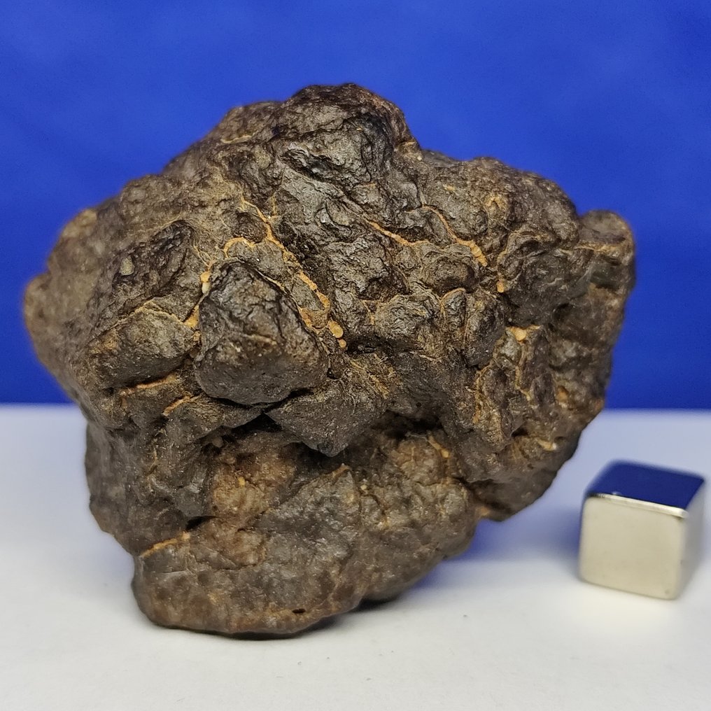 Mesosiderite meteorite. MDEÏNÉ 001 (Mauritania, 2021). Stony iron meteorite - XL - 105.6 g #1.0