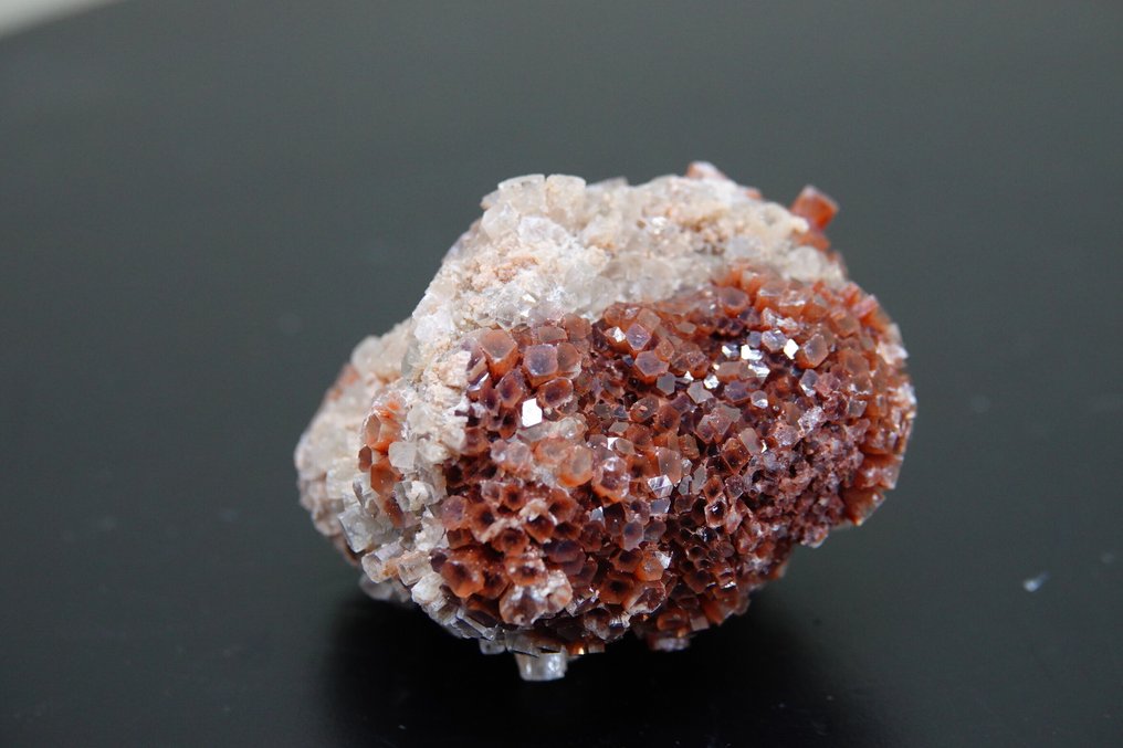 aragonitrose Taksidermi fuld kropsmontering - cluster - 0 cm - 0 cm - 0 cm - 1 #1.0