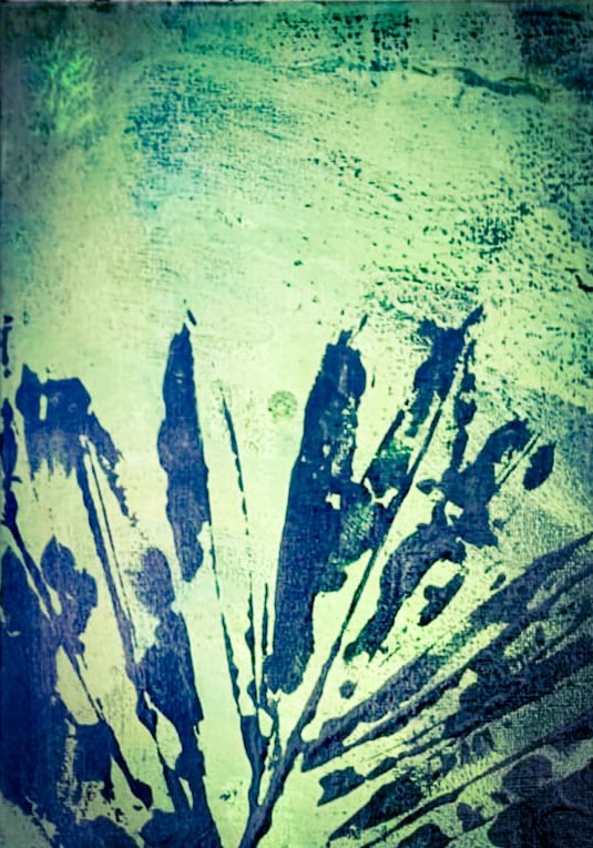 Giorgio Bergallo - OLEANDRI #3.2