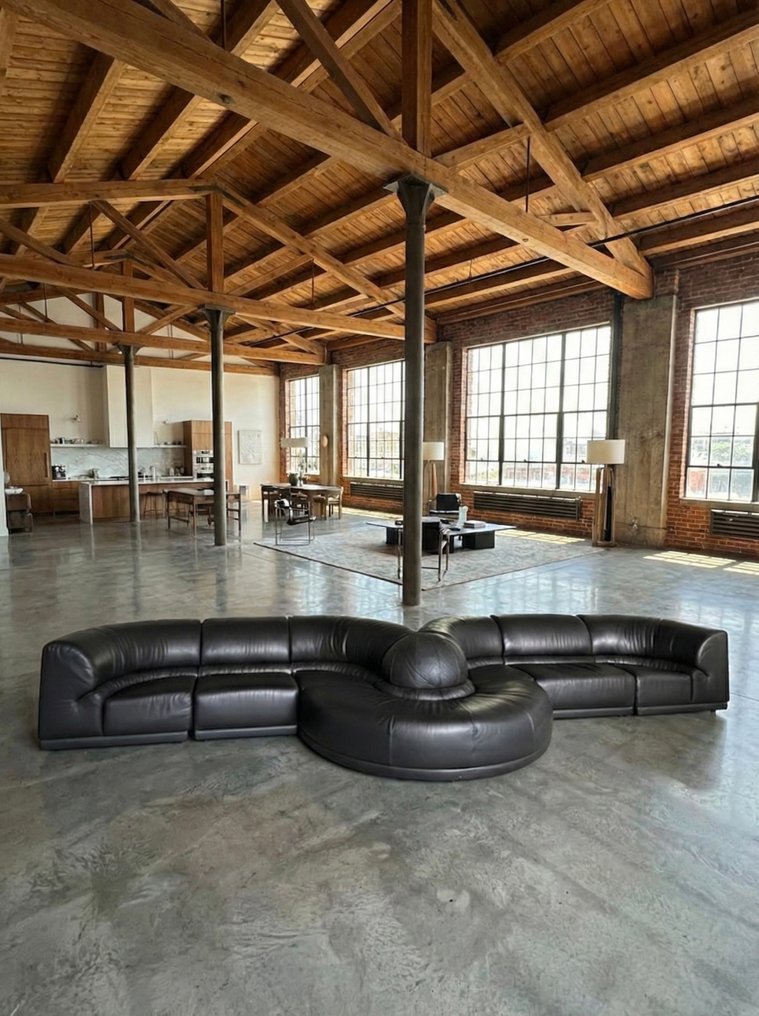 Roche Bobois - Καναπές (7) - φιδωτός - Δέρμα, Ξύλο - Μονάδα #1.0