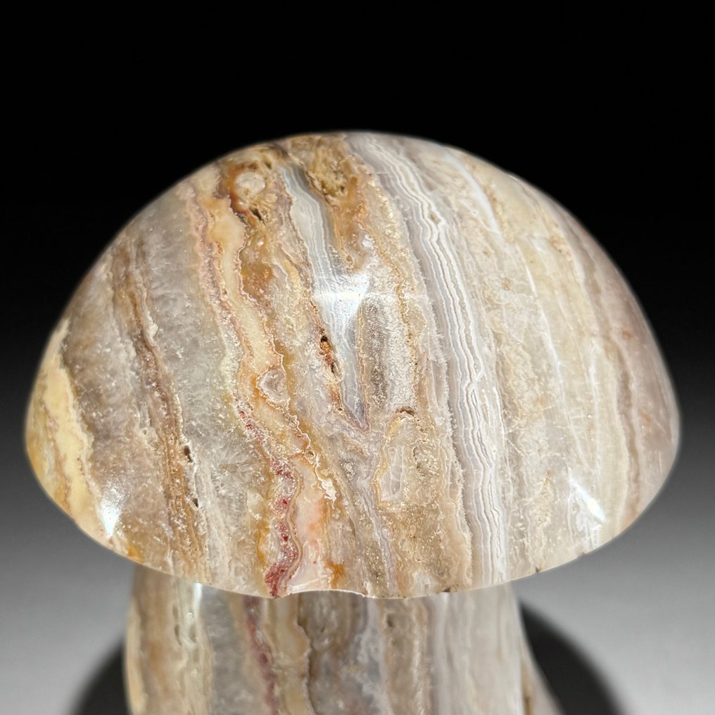 无底价 - 手工雕刻蕾丝玛瑙蘑菇雕塑 独特的收藏品 - 高度: 15.7 cm - 宽度: 11.5 cm- 2300 g - (1) #2.1