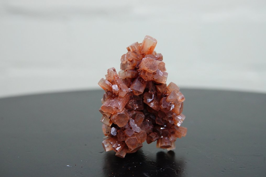 αραγωνίτης ροζάμα Βάση ταρίχευσης ολόκληρου σώματος - cluster - 0 cm - 0 cm - 0 cm - 1 #3.2