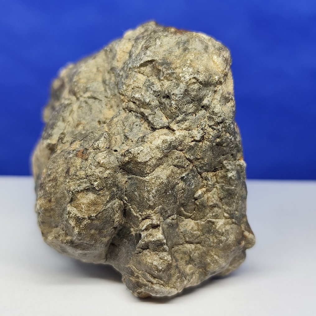 XL MUSEUM new "JIKHARRA 001" (Libya, 2022). EUCRITE METEORITE -achondrite from VESTA- - 247.6 g #4.3