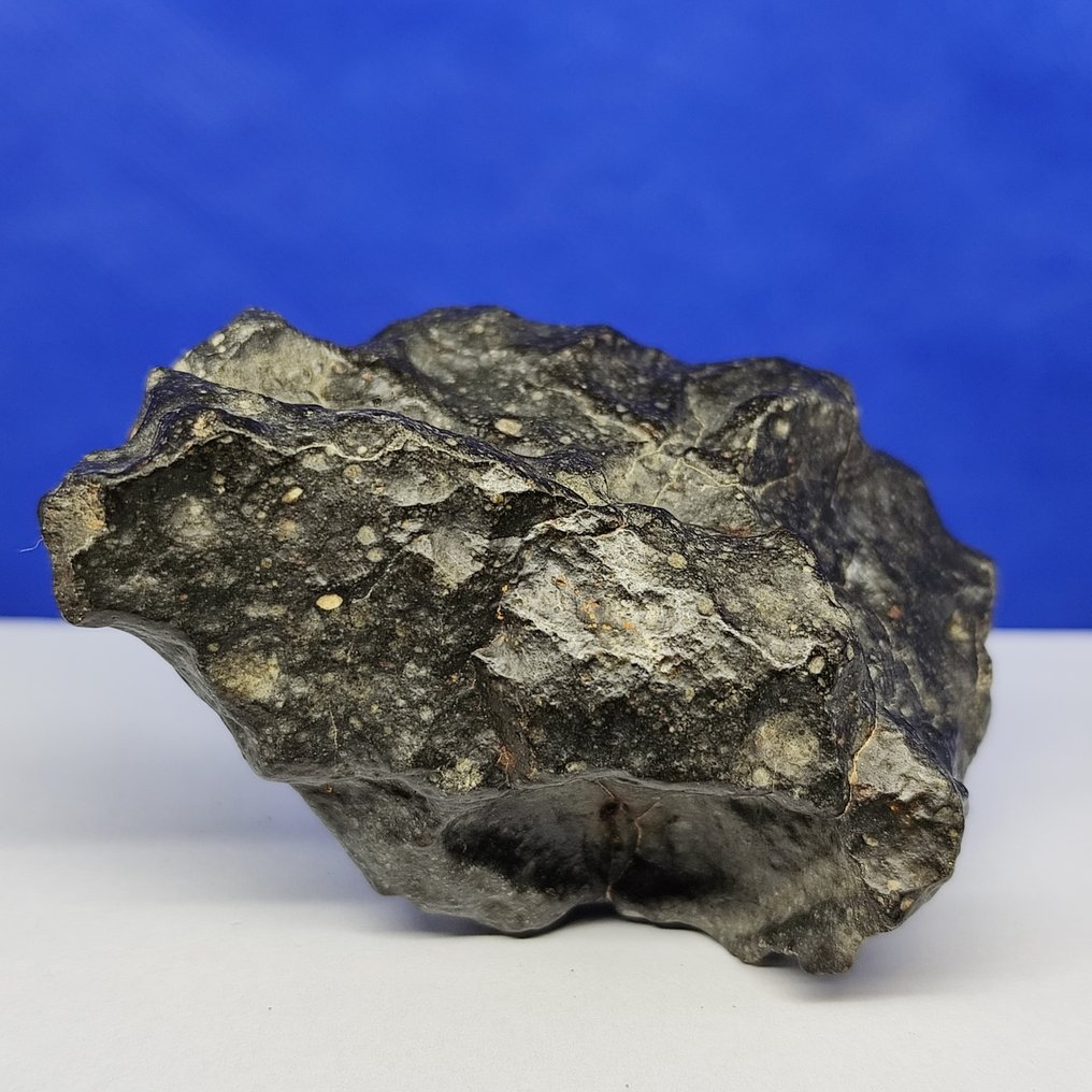 -全球仅1959克- RUMURUTI 玫瑰陨石 R3-6。NWA 13683（撒哈拉，2018年） 特大号件 - 161.3 g #2.1