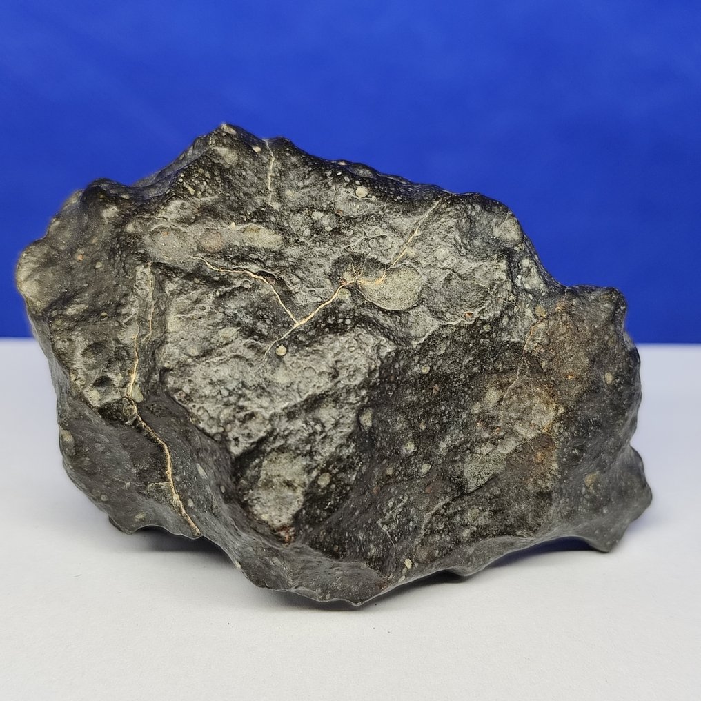 -全球仅1959克- RUMURUTI 玫瑰陨石 R3-6。NWA 13683（撒哈拉，2018年） 特大号件 - 161.3 g #3.2