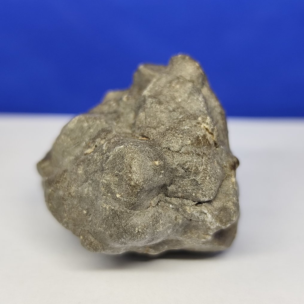 EUCRITE METEORITE. New 'JIKHARRA 001' (Libya, 2022) Achondrite from VESTA. Without reserve price. - 36.8 g #2.1