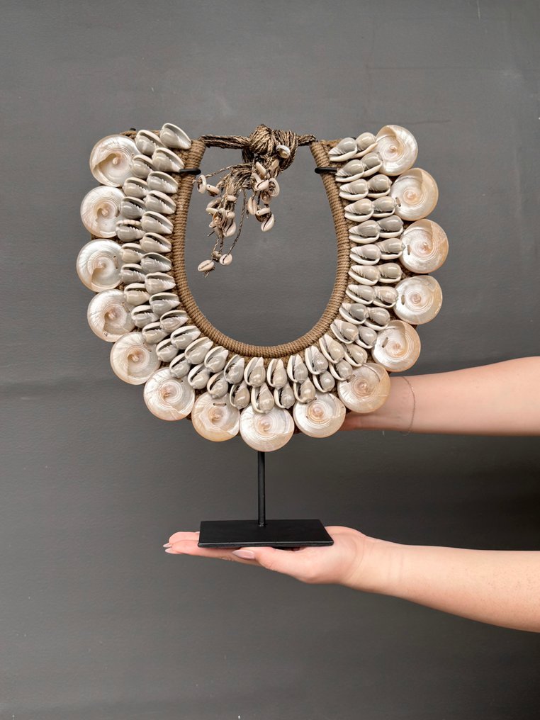 Διακοσμητικό στολίδι - NO RESERVE PRICE - SN21 - Decorative shell necklace on a custom stand - Iatmul style - Παπούα Νέα Γουινέα #1.0