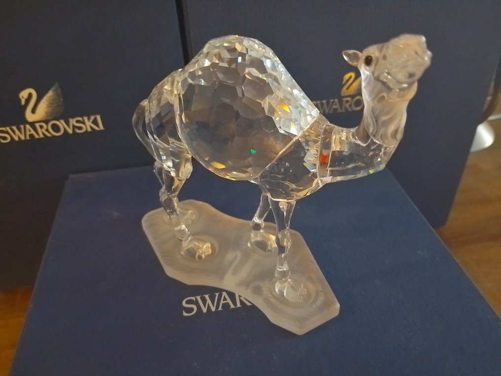 Swarovski - Statuetta - Camel - 247683 - Box + Certificate - Cristallo #4.3