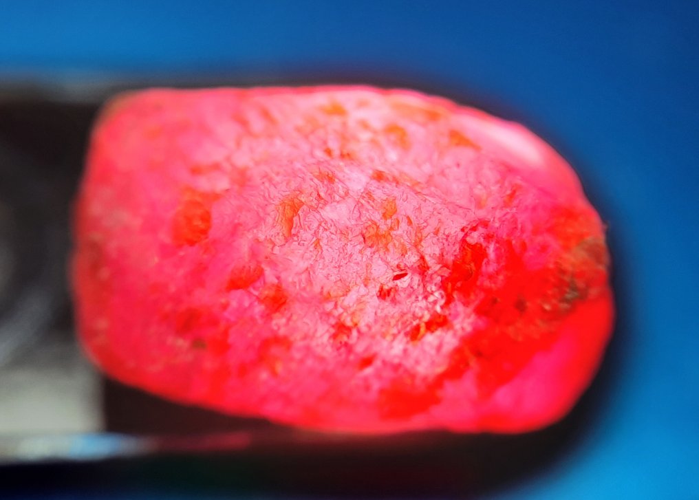 101 克拉 - 未处理的红宝石 粗糙- 20.2 g #4.3