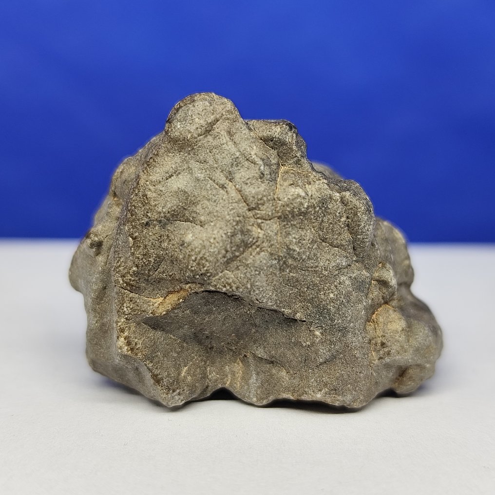 EUCRITE METEORITE. New 'JIKHARRA 001' (Libya, 2022) Achondrite from VESTA. Without reserve price. - 36.8 g #4.3