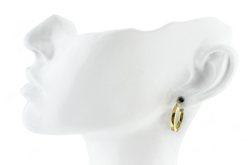 Ingen mindstepris - Øreringe - 18 kraat Gulguld #1.0