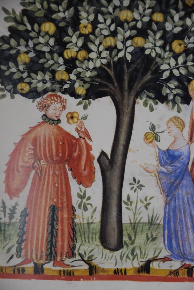 Vari - Tacuinum sanitatis in medicina - 1986 #4.3