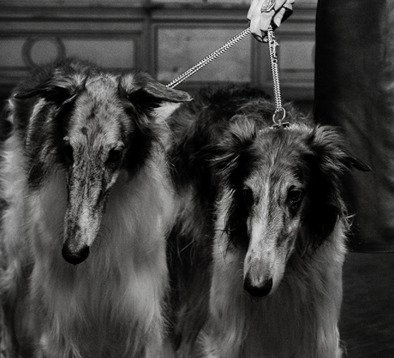 Carsten Sander - Katharina #4.3