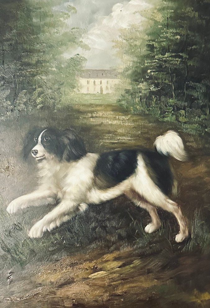 Cercle de John Wootton - English springer #1.0