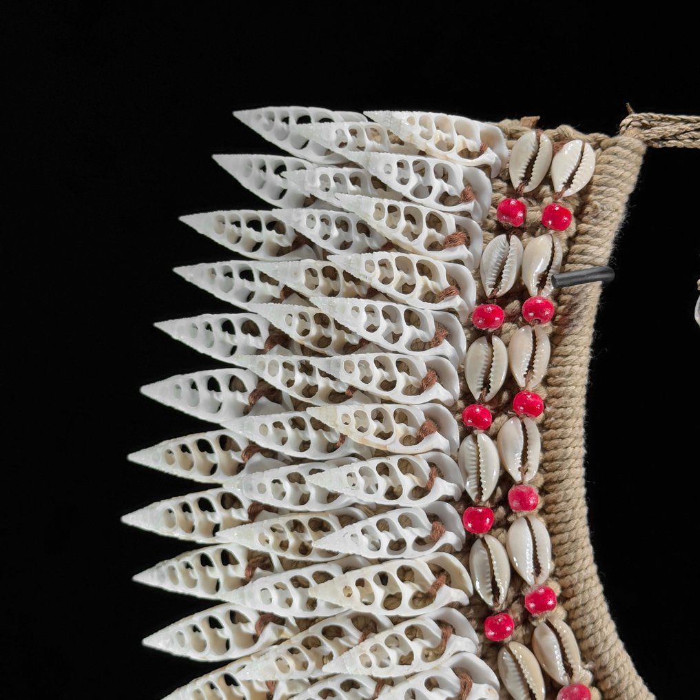 Διακοσμητικό στολίδι - NO RESERVE PRICE - SN12 - Decorative Shell Necklace on custom stand - Παπούα Νέα Γουινέα #4.3