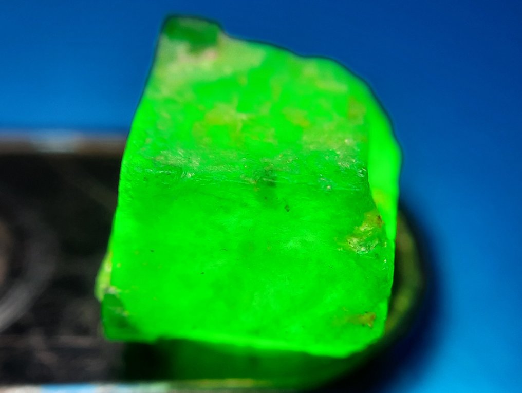 5.85 克拉 - 未处理天然翡翠 粗糙- 1.17 g #1.0