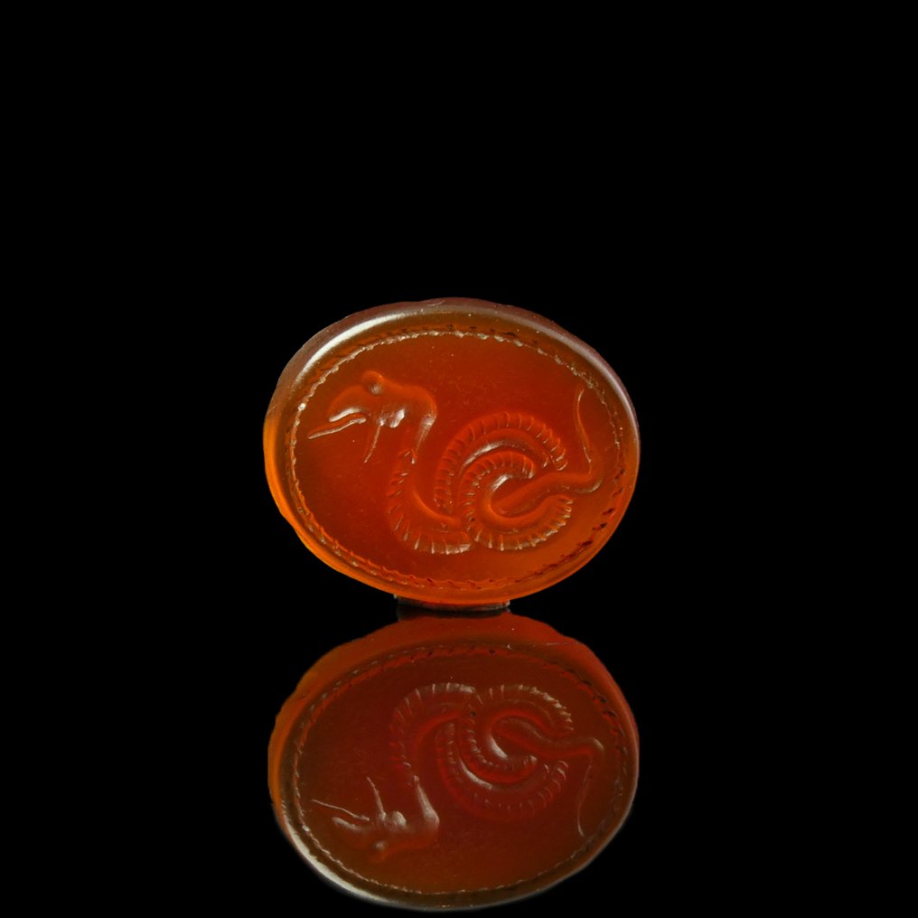 Antikens Grekland Karneol Intaglio, with coiled Snake #2.1