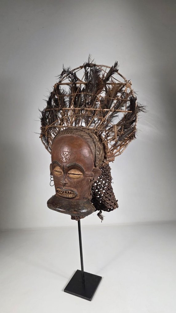 Puu- ja sulkirekvisiitti - Angola (Ei pohjahintaa) #1.0