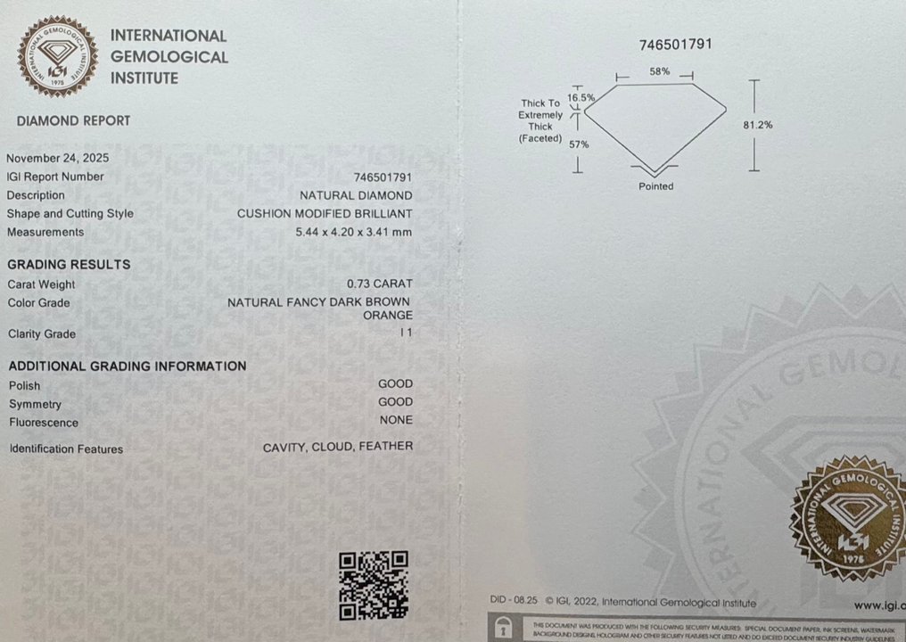 沒有保留價 - 1 pcs 鑽石 (天然彩色) - 0.73 ct - 枕形 - Fancy dark 褐色 橙色 - I1 - 國際寶石學院(International Gemological Institute (IGI)) #2.1