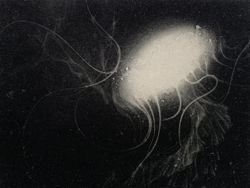 "Voyager" - First time on Catawiki ! - New work 2025 - Riko Maeshiro 真栄城理子 (b 1992) - Japan #1.0