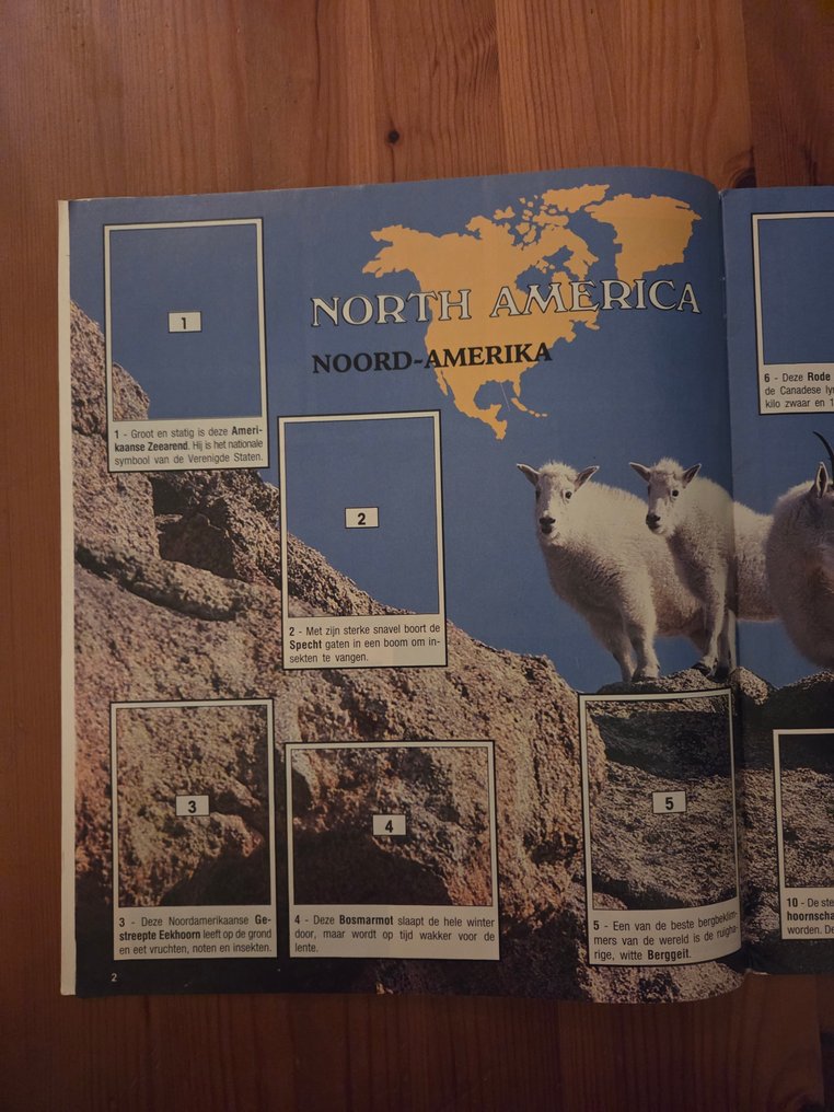 Panini - Animals of the World - Empty album + complete loose sticker set - Excellent (EX) #4.3