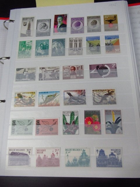 Belgia 1965/1989 - Fără clemă, colecție superbă de timbre. #1.0