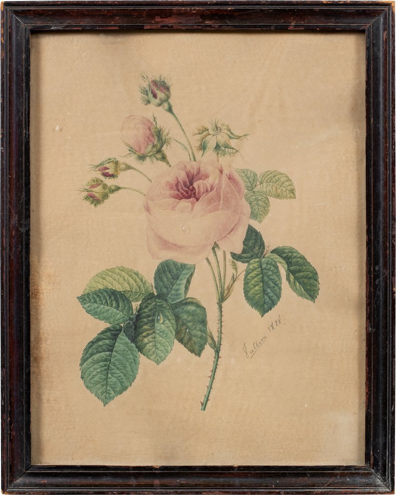 European Artist (dated 1828) - The Rose #1.0