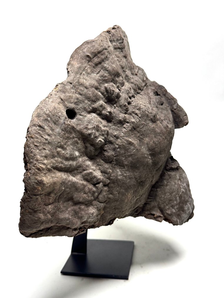 Mushroom "Fog eater" mask - Nepal (No Reserve Price) #3.2