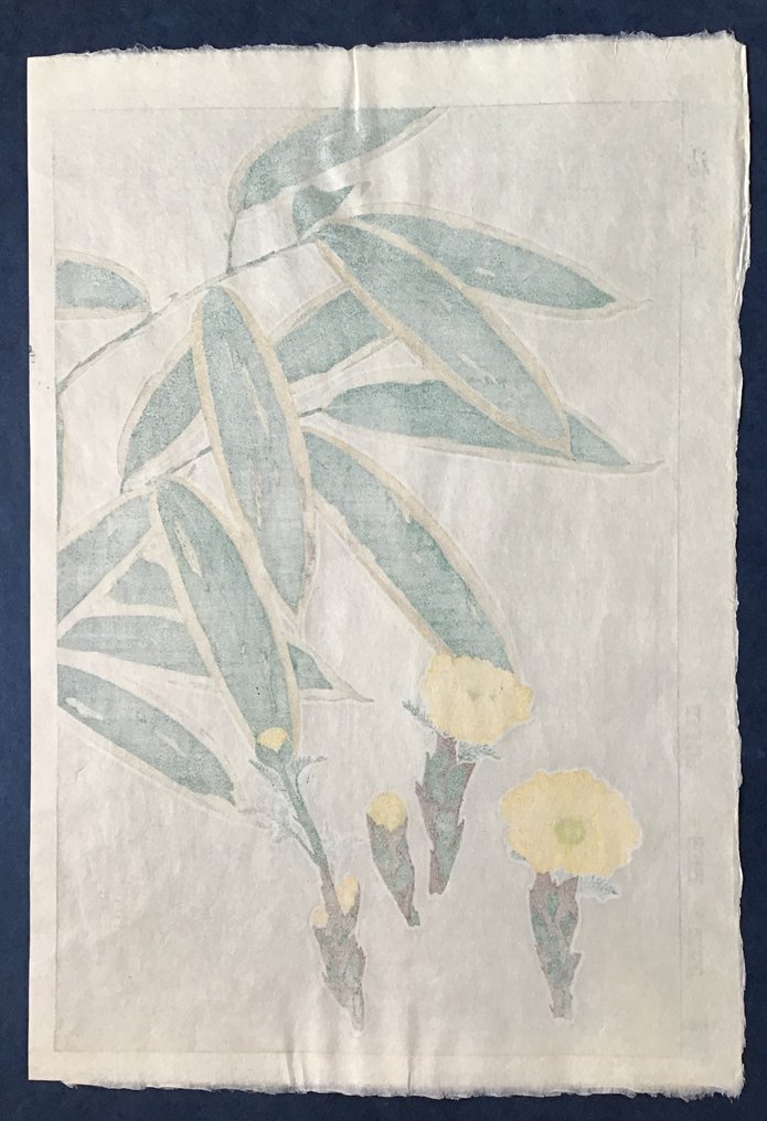Adonis 福寿草orフクジュソウ Fukujuso - Kawarazaki Shodo 河原崎奨堂 (1889-1973) - Published by Unsodo - Ιαπωνία #4.3