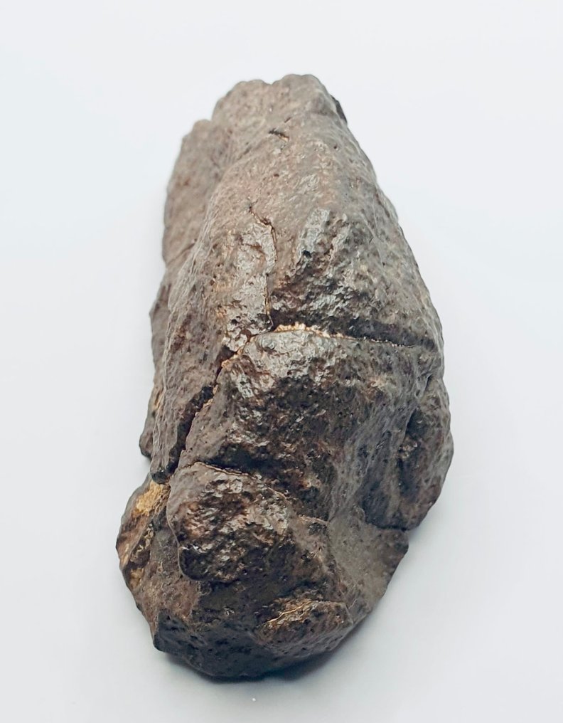 Αταξινόμητος μετεωρίτης NWA Μετεωρίτης χονδρίτης - Ύψος: 80 mm - Πλάτος: 35 mm - 151 g - (1) #1.0