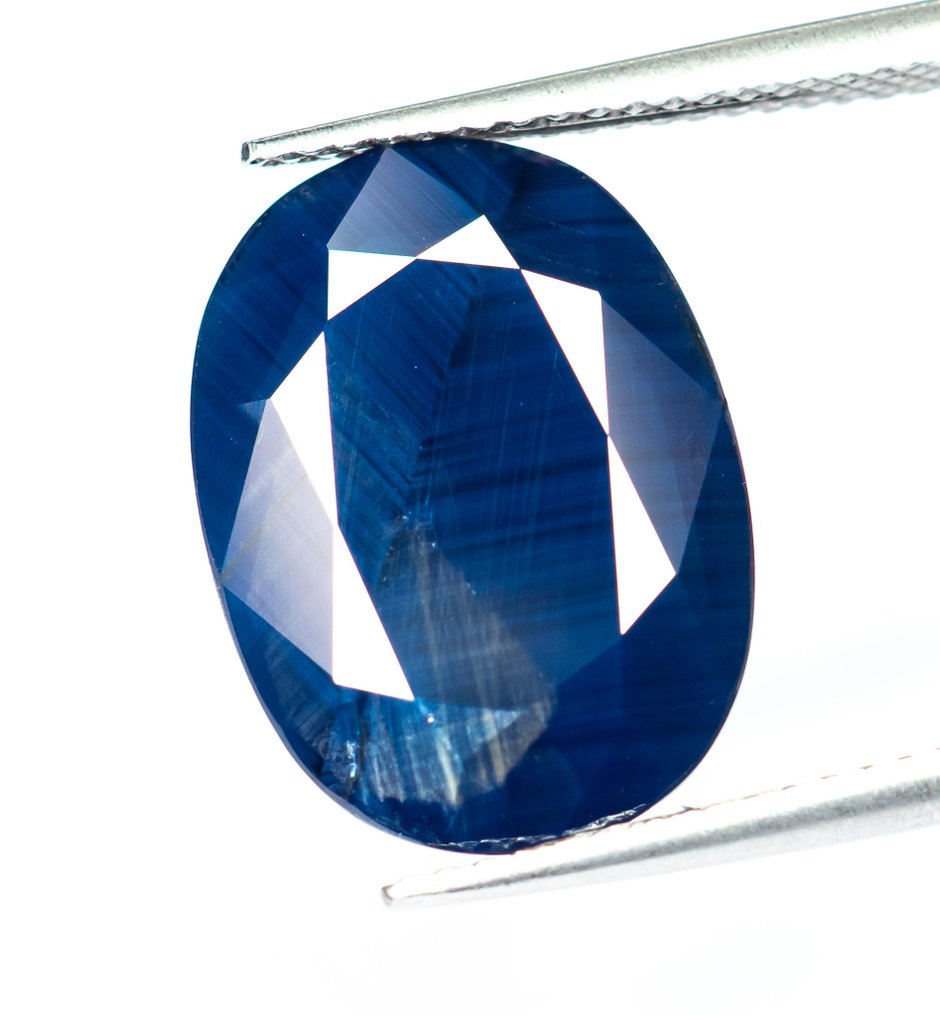 没有保留价 蓝宝石  - 10.84 ct - 莲花宝石实验室 - Deep Blue #1.0
