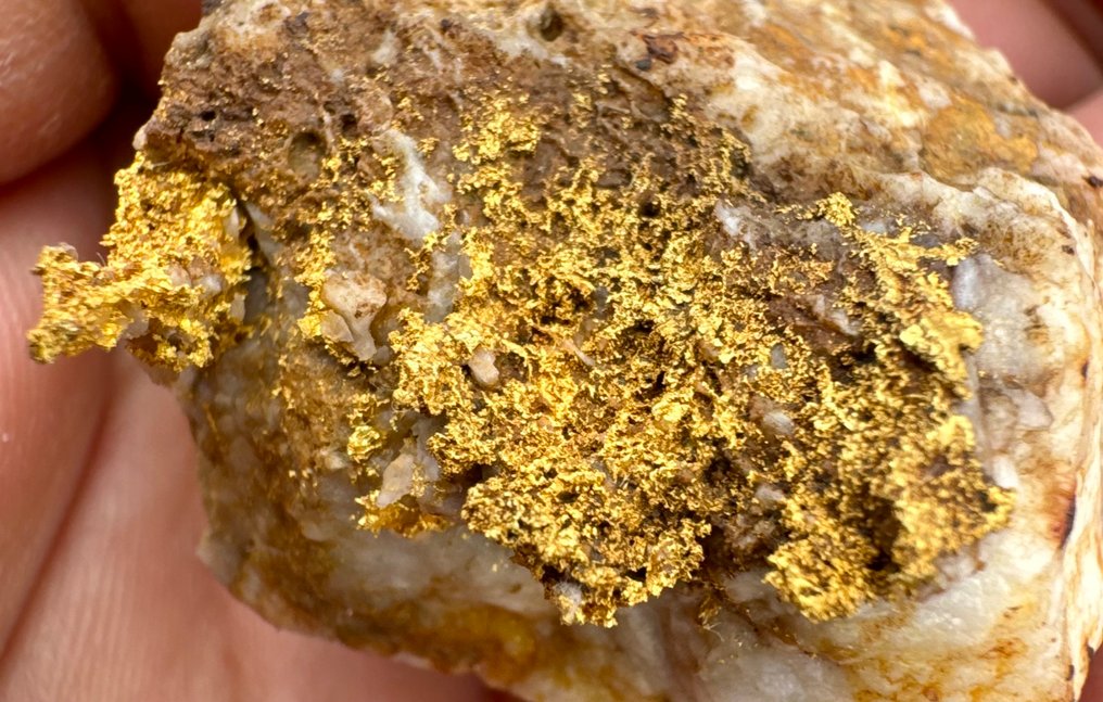 Oro Pepite - Altezza: 4.5 cm - Larghezza: 3.7 cm- 41.02 g - (1) #2.1