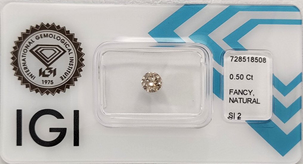 没有保留价 - 1 pcs 钻石 (天然色彩的) - 0.50 ct - 圆形 - Fancy 黄色 棕色 - SI2 微内含二级 - 国际宝石研究院(IGI) #1.0