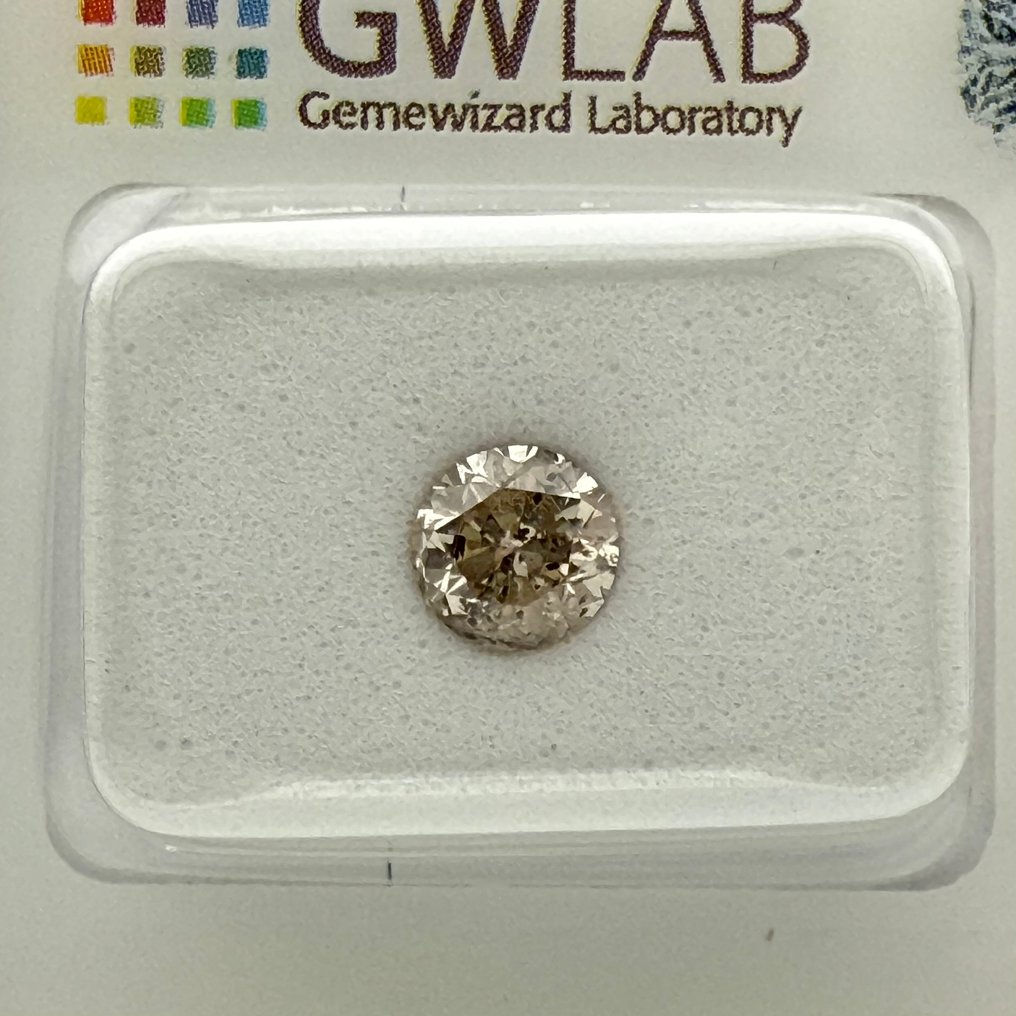 没有保留价 - 1 pcs 钻石 (天然色彩的) - 0.75 ct - 圆形 - Fancy 灰色 - I1 内含一级 - 国际宝石研究院(IGI) #1.0