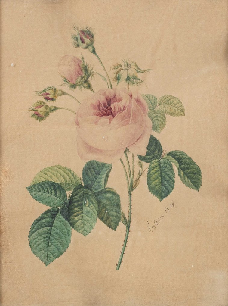 European Artist (dated 1828) - The Rose #1.0