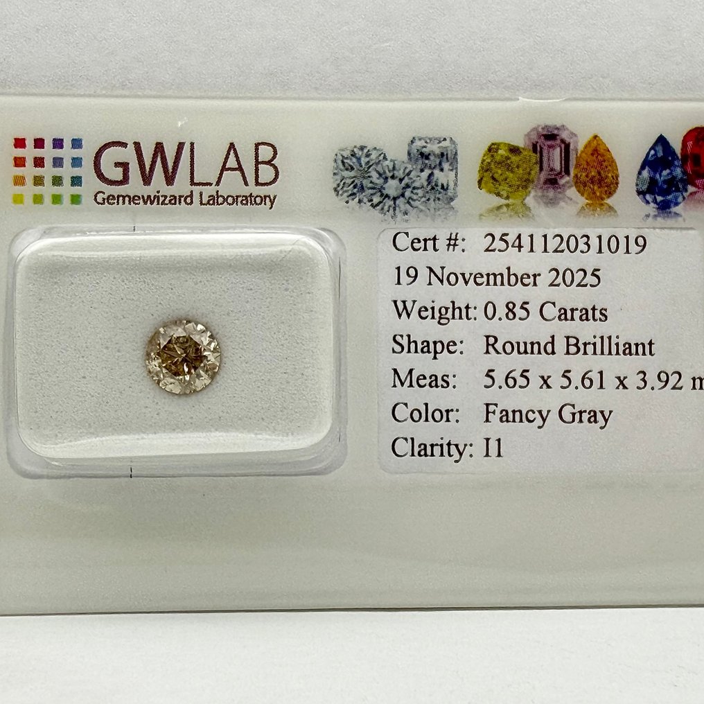 没有保留价 - 1 pcs 钻石 (天然色彩的) - 0.85 ct - 圆形 - Fancy 灰色 - I1 内含一级 - Gemewizard宝石实验室(GWLab) #1.0