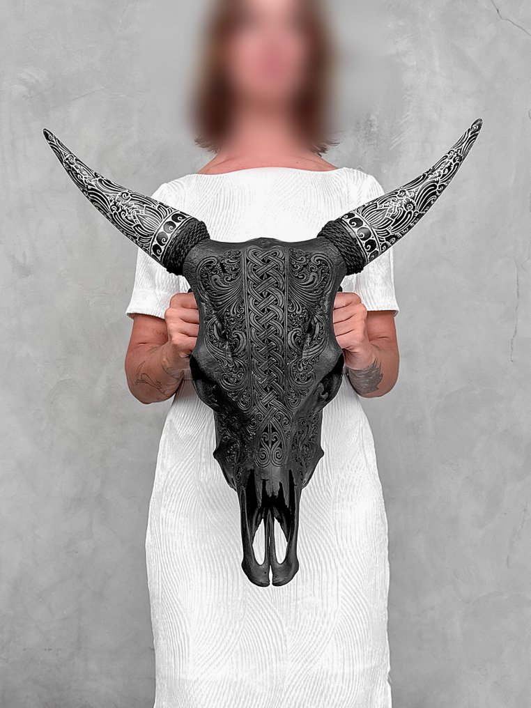 Sans prix de réserve - Crâne de vache noir avec cornes sculptées bohémiennes - motif infini Crâne sculpté - Bos Taurus - 57 cm - 55 cm - 17 cm- Espèces non-CITES - (1) #2.1
