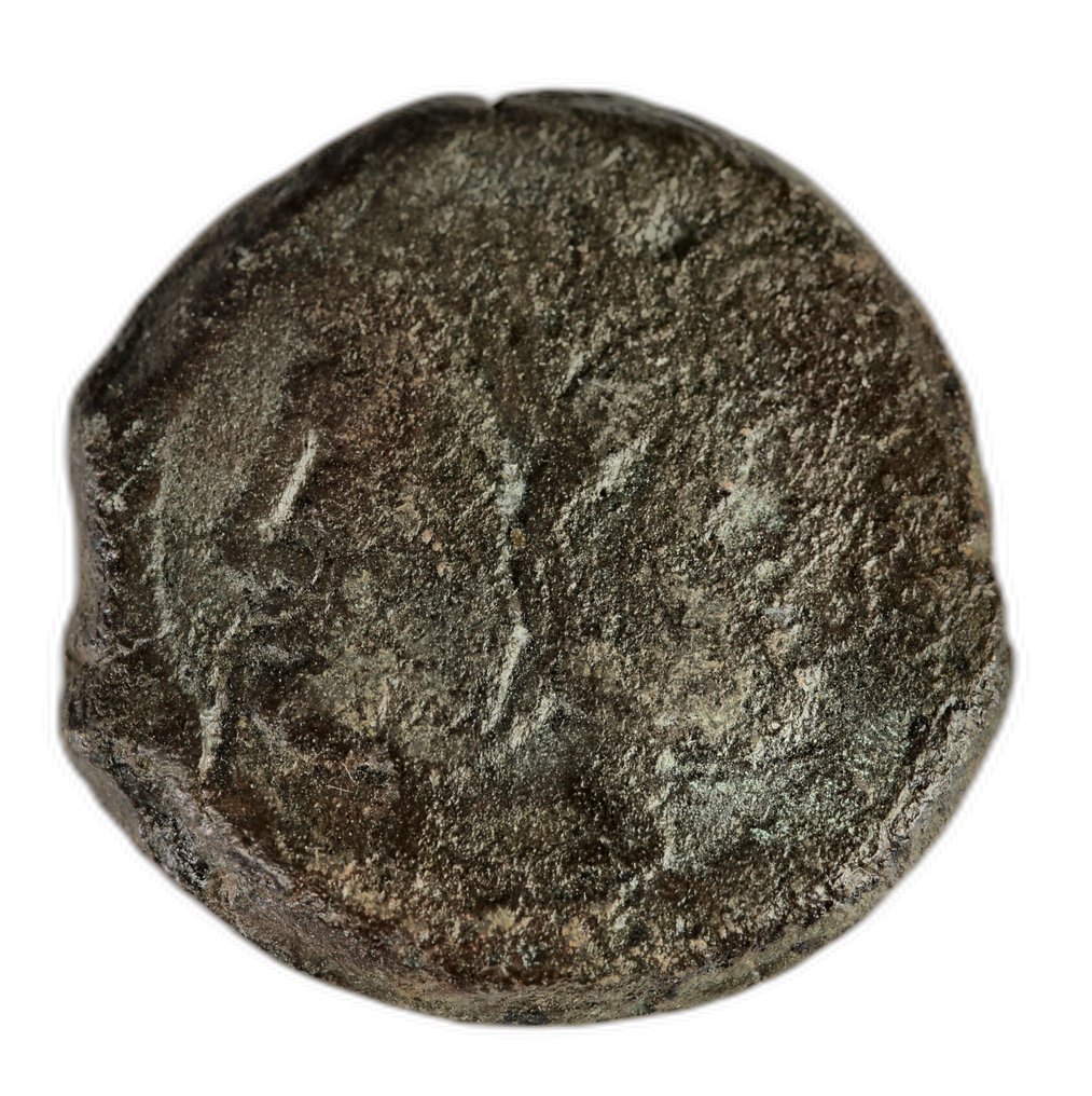 Ρωμαϊκή Δημοκρατία Lot of 5 Æ coins 3rd - 1st century BC #1.0