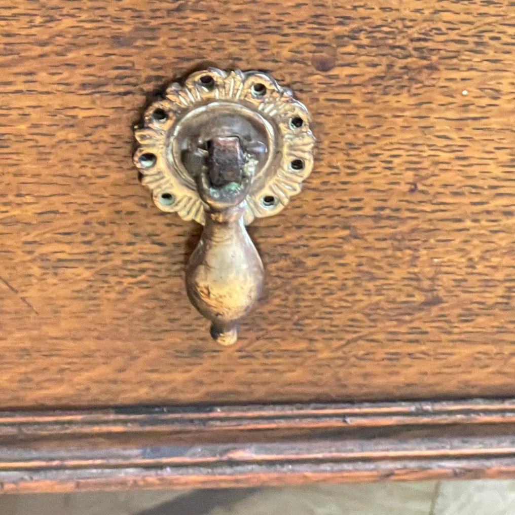 Stand - Quercia - Hall - Magazine - Book #2.1