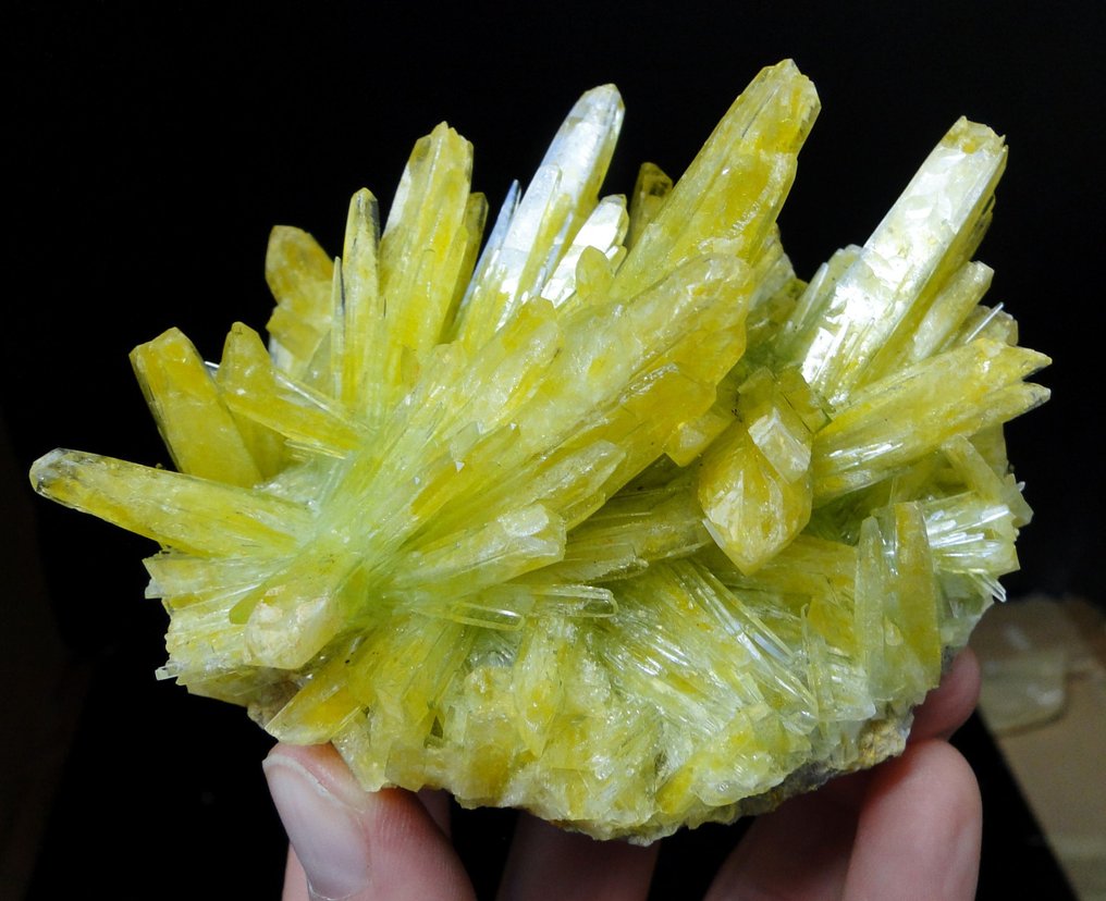 Yellow Phosphate - crystal cluster - citrine yellow crystals on the matrix! - no reserve price!- 310 g #1.0