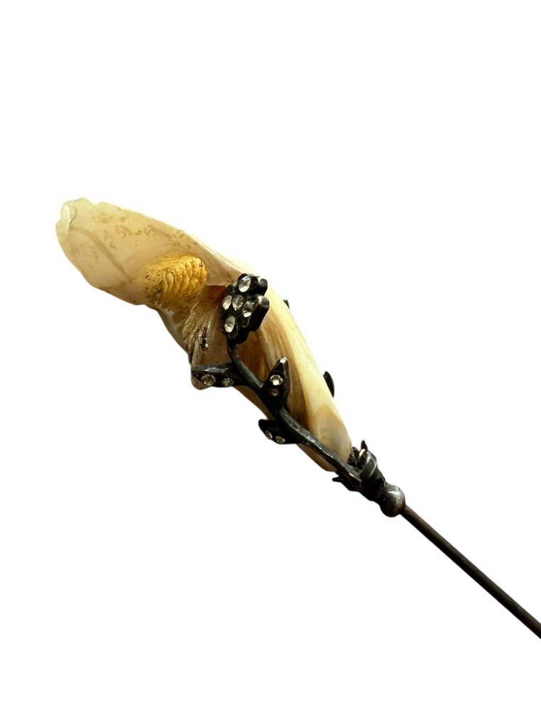 Acciaio - Forcina #3.2