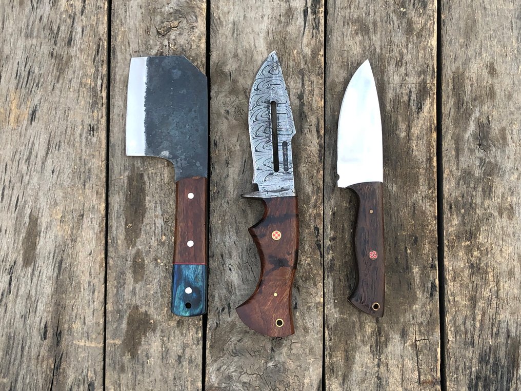 Coltello da cucina - Coltelli Prestigiosi fatti a mano Skinners, acciaio forgiato, corno di cervo, legno e impugnature - Nord America - Fodero in pelle TD4 #4.3