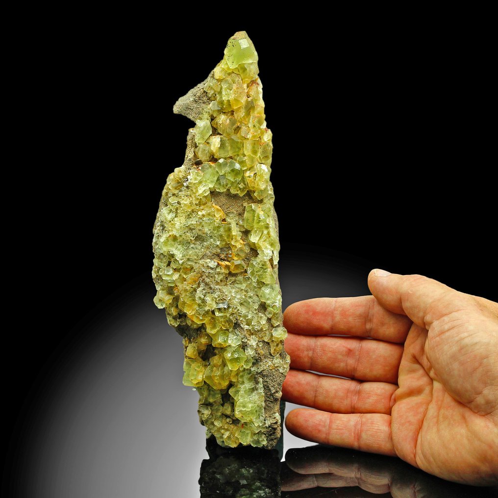 Museum-Grade Fluorite Crystals on matrix - Height: 22 cm - Width: 5.6 cm- 736 kg #1.0