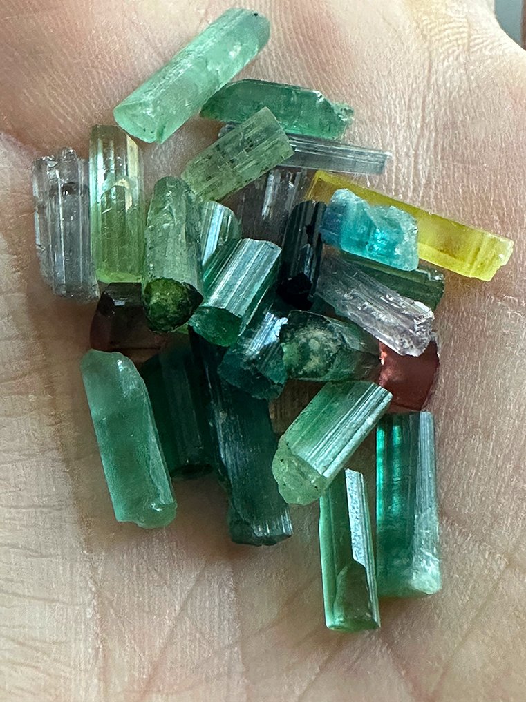 电气石 稀有！全部切面等级！混合色，非常漂亮的36克拉马达加斯加原产电气石晶体 - 高度: 10 mm - 宽度: 4 mm- 7.2 g #3.2