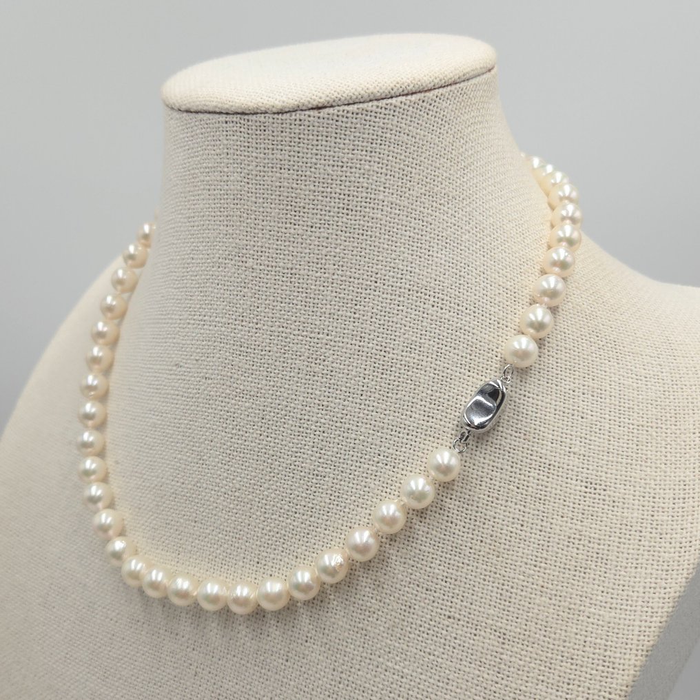 Senza Prezzo di Riserva - Collana Argento Perla - Akoya 7,5 mm 17 pollici #4.3